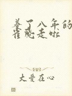 养了八年的金丝雀飞走啦封面