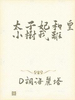 太子妃和皇上在小树我离封面