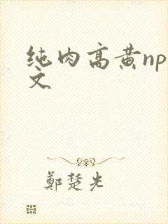 纯肉高黄np爽文