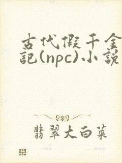 古代假千金挨日记(npc)小说