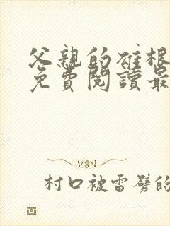 父亲的雄根小说免费阅读最新章节