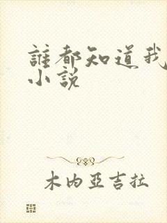 谁都知道我爱你小说