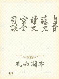 司空靖苏月汐小说全文免费阅读封面