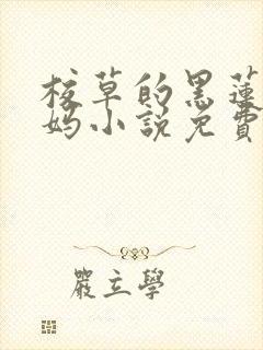 校草的黑莲花亲妈小说免费笔趣阁