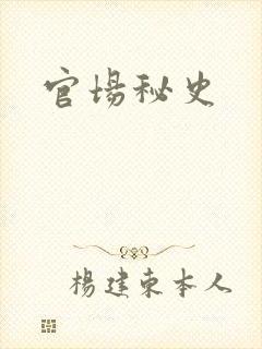 官场秘史