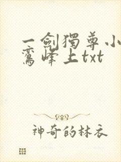 一剑独尊小说青鸾峰上txt