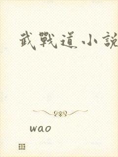 武战道小说