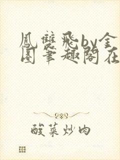 凤双飞by金刚圈笔趣阁在线阅读