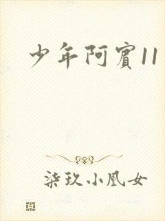 少年阿宾11封面