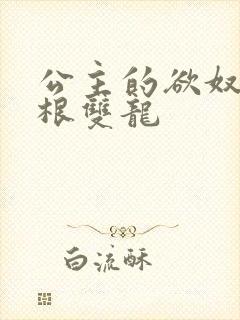 公主的欲奴h四根双龙