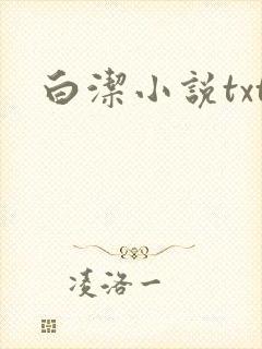 白洁小说txt