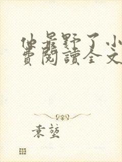 他最野了小说免费阅读全文