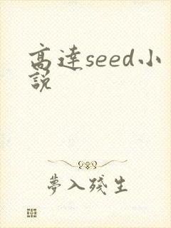 高达seed小说