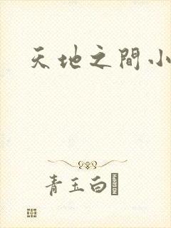 天地之间小说