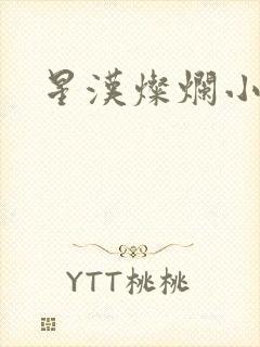 星汉灿烂小说封面