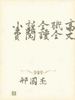 小说全职高手免费阅读全文无窗口