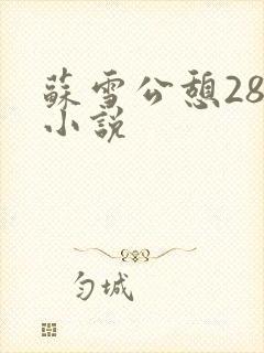 苏雪公憩28篇小说