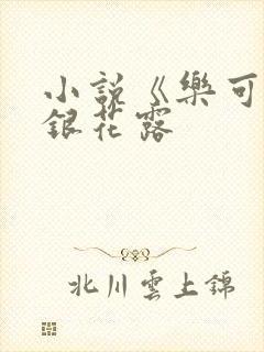 小说《乐可》金银花露封面