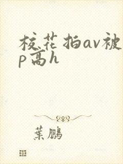 校花拍av被np高h