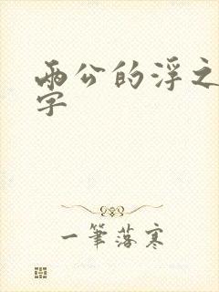 两公的浮之手中字封面