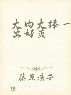 大肉大捧一进一出好爽封面