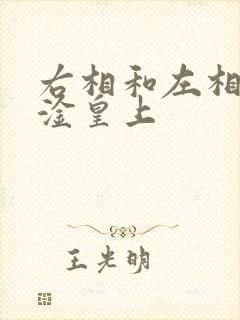 右相和左相一起淦皇上
