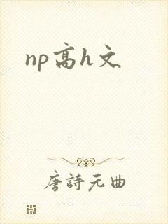 np高h文