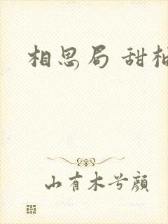 相思局 甜柚子封面