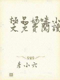 极品妈咪小说全文免费阅读