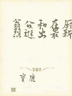 翁公和在厨房猛烈进出最新章节