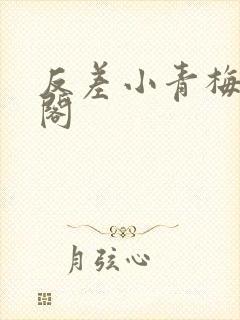 反差小青梅笔趣阁