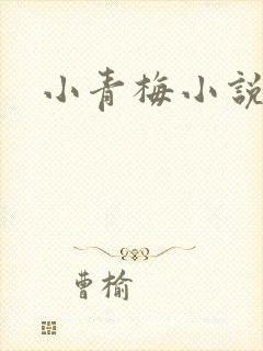 小青梅小说