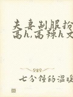 夫妻制服扮演(高h,高辣h文)封面