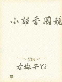 小说香国竞艳