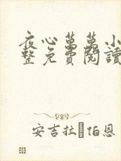 夜心万万小说完整免费阅读全文