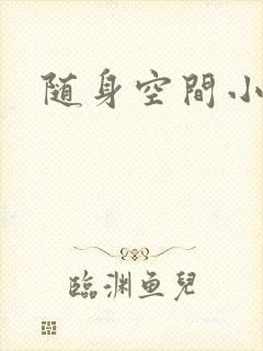 随身空间小说封面