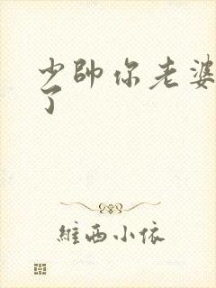 少帅你老婆又跑了