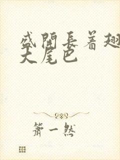 盛开长着翅膀的大尾巴封面