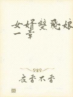 女婿双飞娘俩第一章