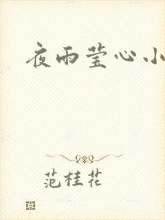 夜雨莹心小说封面