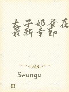 太子奶爸在花都最新章节封面