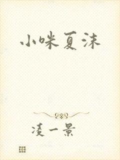 小咪夏沫封面