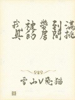 我被带到满是玩具的房间挑调游戏