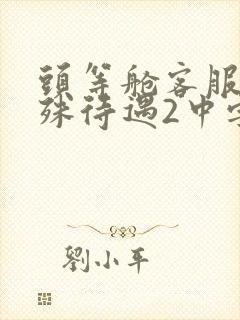 头等舱客服的特殊待遇2中字封面