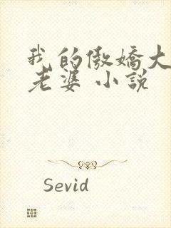 我的傲娇大小姐老婆 小说