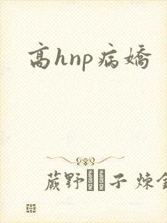 高hnp病娇