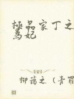 极品家丁之册母为妃