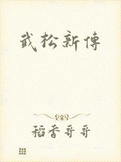 武松新传