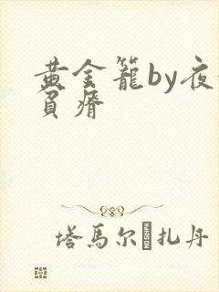 黄金笼by夜很贫瘠封面