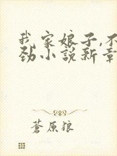 我家娘子,不对劲小说新章节列表